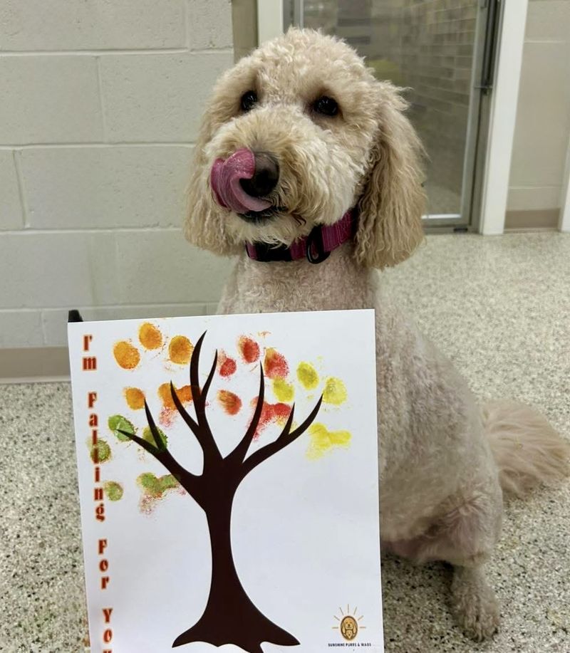 monthly_craft1_800x917_10-25