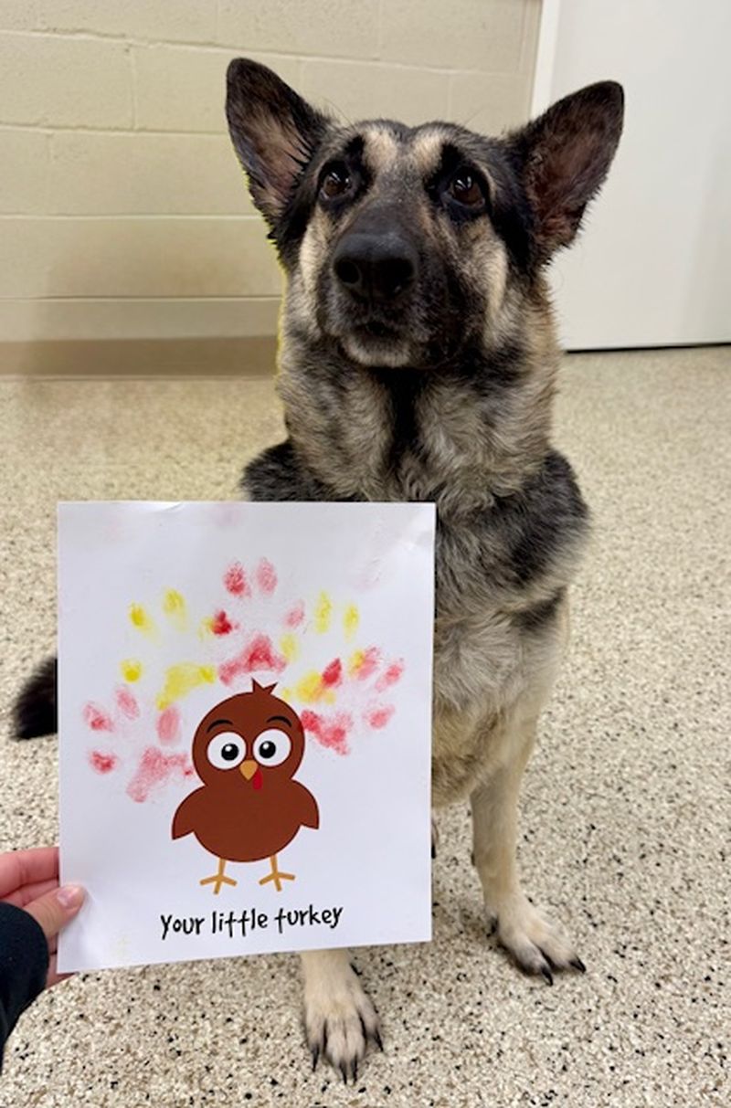 monthly_craft2_800x1213_10-25