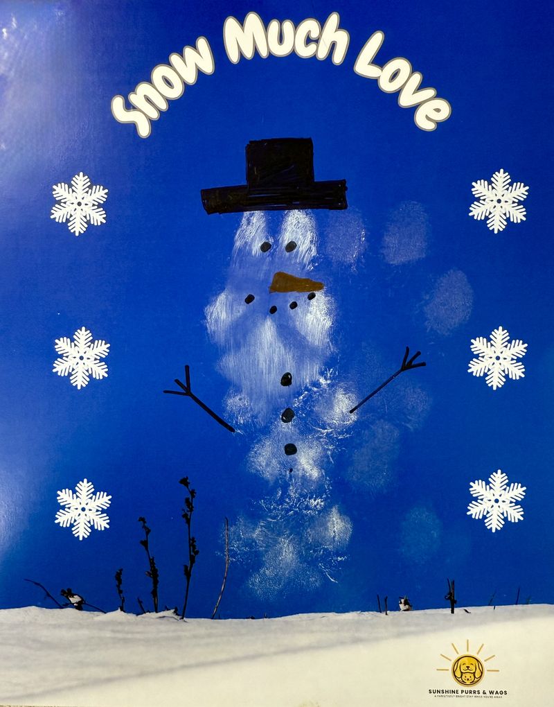 january_craft_800x1020_2026